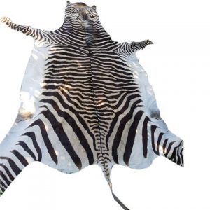 Zebra Hartman Skin B1