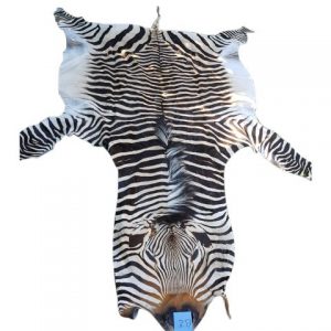Zebra Hartman Skin B2