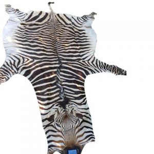 Zebra Hartman Skin B10