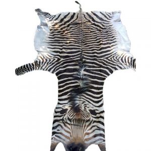 Zebra Hartman Skin B5