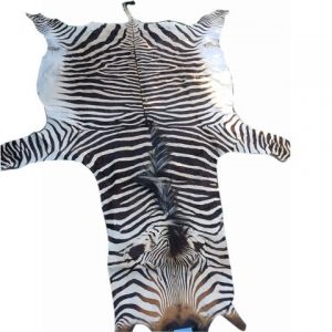 Zebra Hartman Skin B6