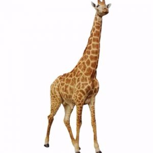Giraffe full mount GF01