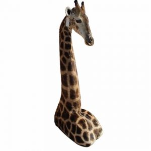 Giraffe floor mount GFL1