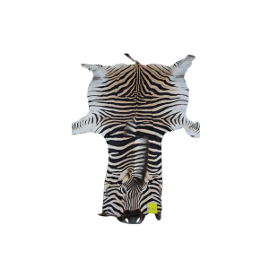 Zebra skin PA-03