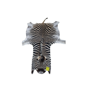 Zebra skin PA-07