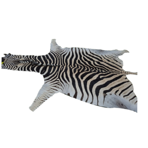 Zebra skin PA-01