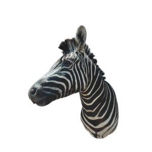 Zebra Shoulder Mount A1