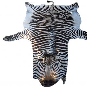 Zebra Hartman Skin B3