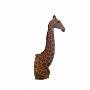 Giraffe pedestal mount GPM1
